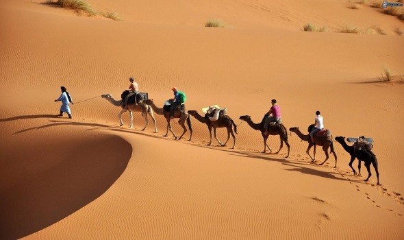الدنمارك تعلن عن دعمها جهود الأمم المتحدة من أجل حل سياسي للنزاع في الصحراء