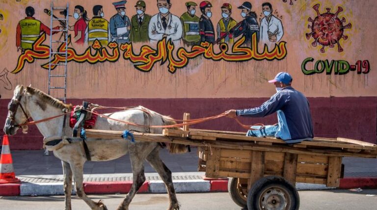 ارتفاع عدد الاصابات اليومية 679 إصابة جديدة بفيروس كورونا