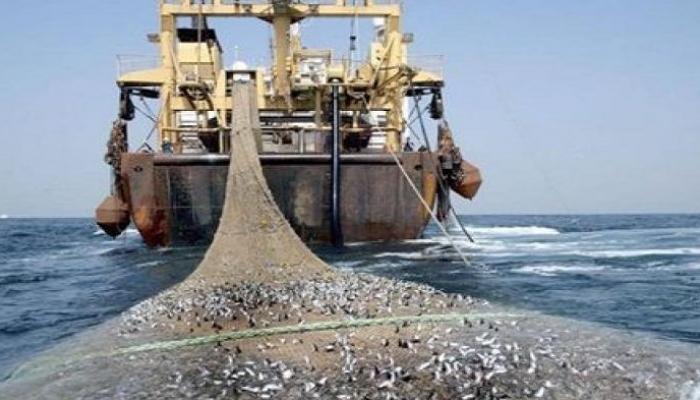 مجلس النواب يقر اتفاقية للصيد البحري مع روسيا ..الثروة السمكية.. كنز يسير باتجاه الانقراض