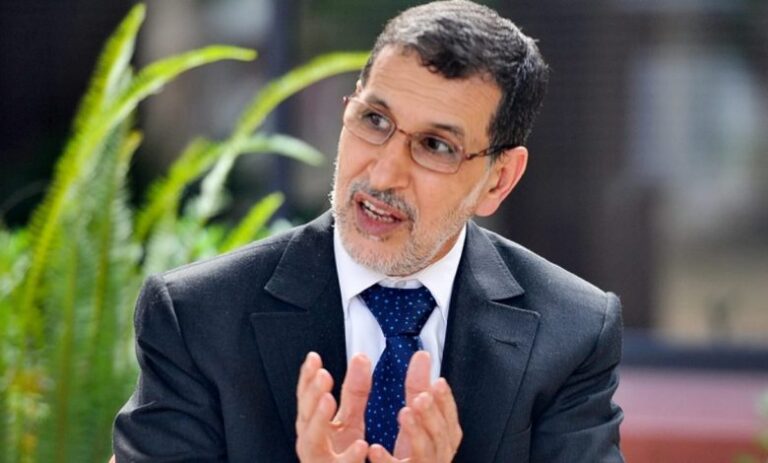 العثماني يدعو إلى إحداث خلاية مركزية بجميع الوزارات بشأن تفعيل الأمازيغية