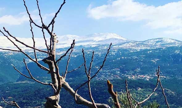 توقف خدمات الإنترنت بمناطق في شمال لبنان