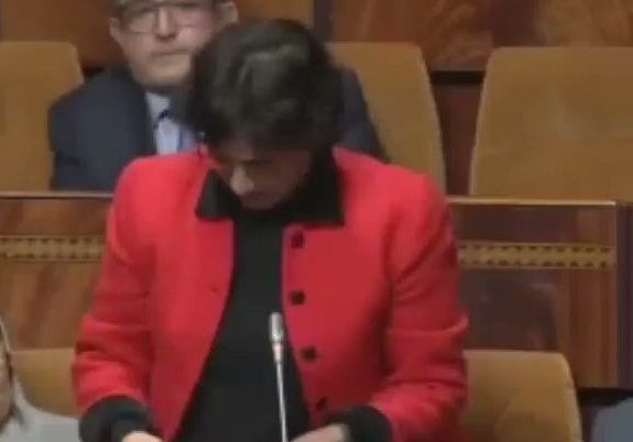 فيديو أثار جدلاً واسعاً... مجددا نائبة “تبهدل” اللغة العربية في البرلمان.. نسألو السيدو الوزيرو...
