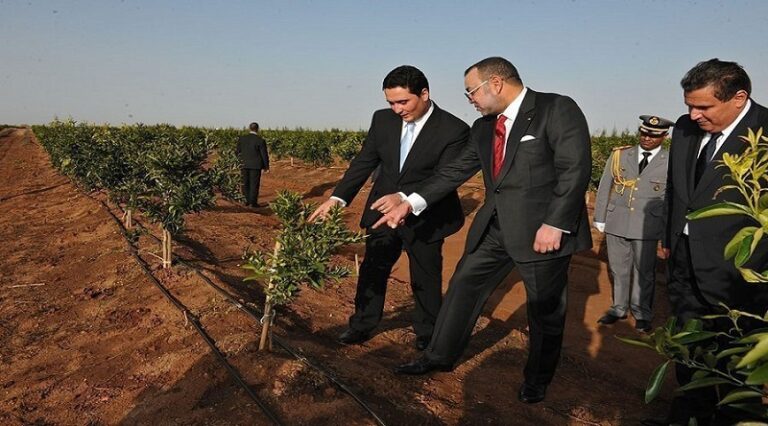 حكومة الملياردير أخنوش تطلب قرضاً جديداً بـ 180 مليون مليون دولار من البنك الدولي لصمود واستدامة…