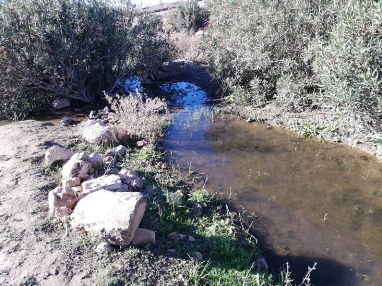 بفعل توقف محطات معالجة مياه الصرف الصحي عن العمل (ابي الجعد إقليم خريبكة ): منذ 10 سنوات البعوض…