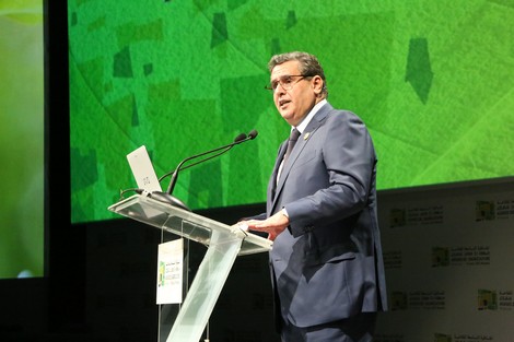عزيز غالي: المخطط الأخضر أعطى الضربة القاضية للأمن الغذائي بالمغرب.. أحلام أخنوش تتبخر!