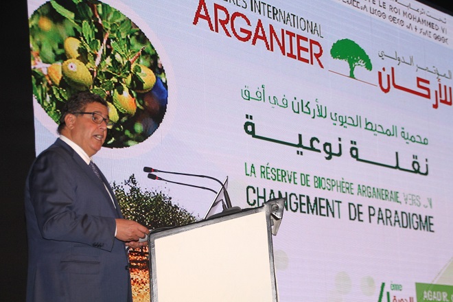 شجرة الأركان عنوان التفرد البيئي والحضاري والثقافي المغربي على الصعيد الدولي