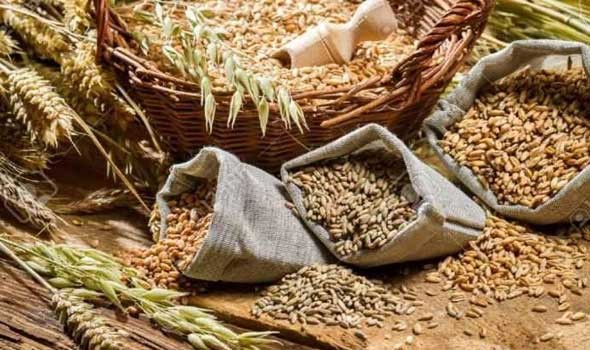 مجموعة السبع تدعو روسيا إلى تمديد اتفاق تصدير الحبوب الأوكرانية