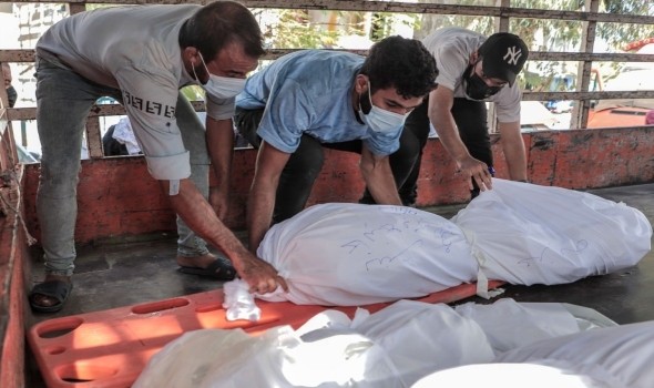 في الحرب علي