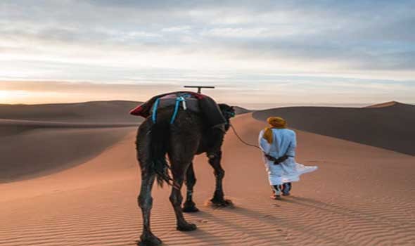 إنعقاد المؤتمر الدولي بالداخلة حول