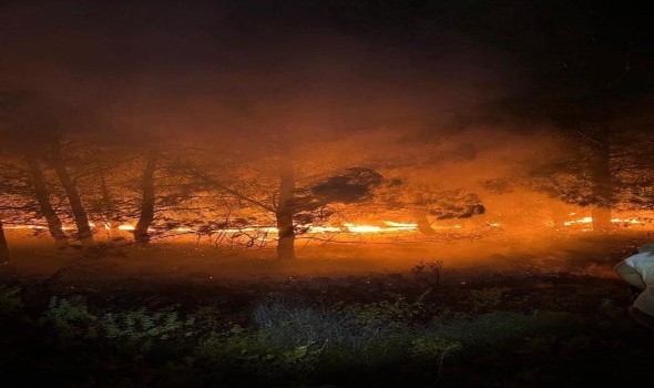 اليابان تعلن السيطرة بشكل نهائي علي حرائق الغابات